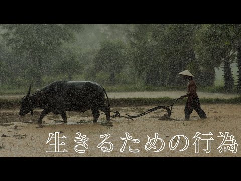 【人間の条件】における労働とは