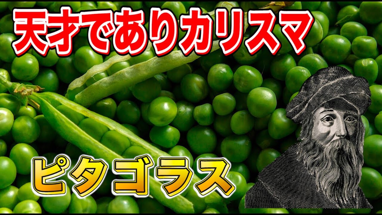 古代ギリシャ哲学解説【ピタゴラス】
