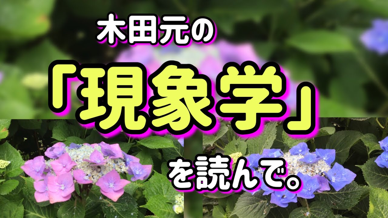 木田元の「現象学」を読んで